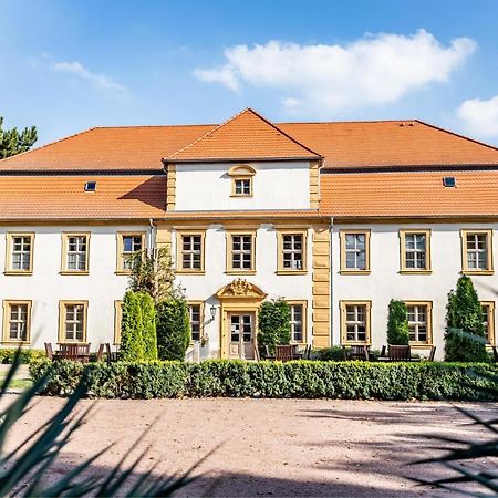 Stadtschloss Hecklingen*** Hecklingen  Esterno foto