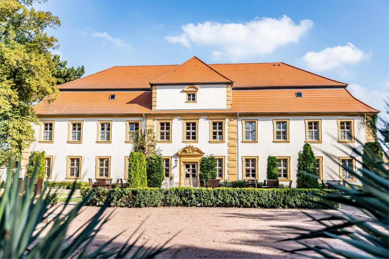 Stadtschloss Hecklingen*** Hecklingen  Esterno foto